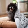 Ethical Pet Snuggler Patterned Dog Blanket