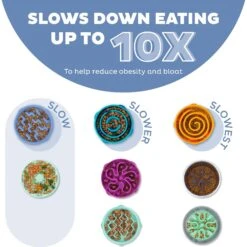 Outward Hound Fun Feeder Slow Feeder Dog Bowl -Blue Buffalos Shop 190604 PT1. AC SS1800 V1694440045