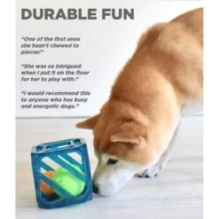 Outward Hound Puzzle Cube Interactive Dog Toy 13 Outward Hound Puzzle Cube Interactive Dog Toy -Blue Buffalos Shop 190628 PT3. AC SS1800 V1636502633