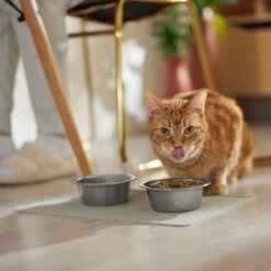 ORE Pet Silicone Dog & Cat Placemat 10 ORE Pet Silicone Dog & Cat Placemat -Blue Buffalos Shop 190789 PT3. AC SS1800 V1684524330