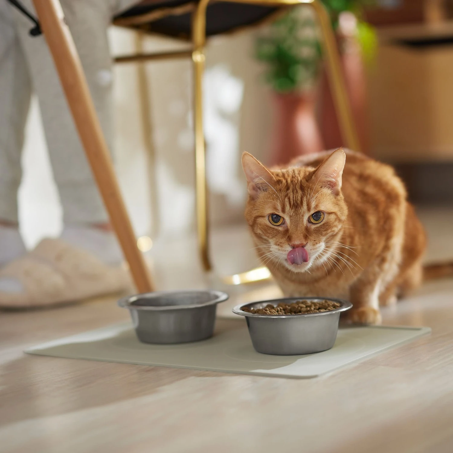 ORE Pet Silicone Dog & Cat Placemat 5 ORE Pet Silicone Dog & Cat Placemat - Image 3