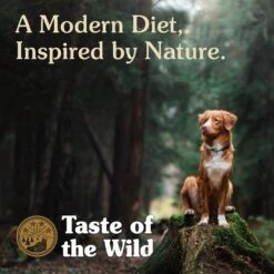 Taste Of The Wild Ancient Stream Smoke-Flavored Salmon With Ancient Grains Dry Dog Food -Blue Buffalos Shop 191341 PT6. AC SS1800 V1641259641