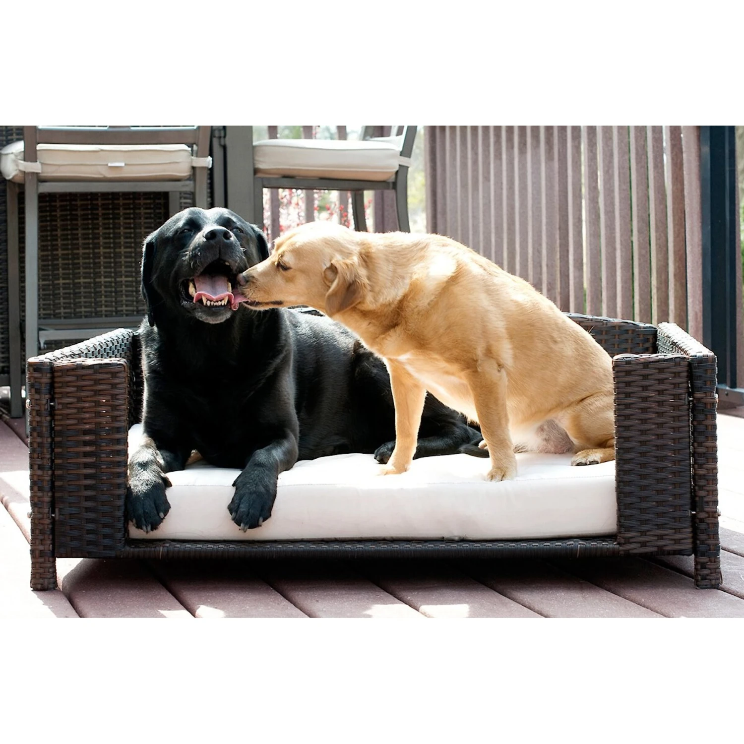 Iconic Pet Rattan Rectangular Sofa Cat & Dog Bed With Removable Cover, Espresso 5 Iconic Pet Rattan Rectangular Sofa Cat & Dog Bed With Removable Cover, Espresso - Image 3