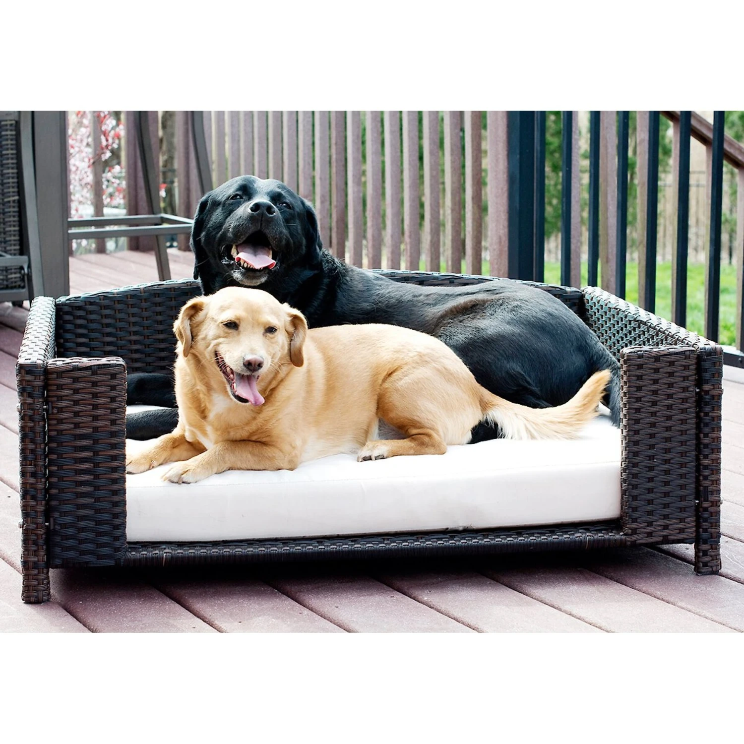 Iconic Pet Rattan Rectangular Sofa Cat & Dog Bed With Removable Cover, Espresso 6 Iconic Pet Rattan Rectangular Sofa Cat & Dog Bed With Removable Cover, Espresso - Image 4