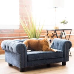 La-Z-Boy Furniture Sofa Dog Bed 16 La-Z-Boy Furniture Sofa Dog Bed -Blue Buffalos Shop 192832 PT6. AC SS1800 V1605319320