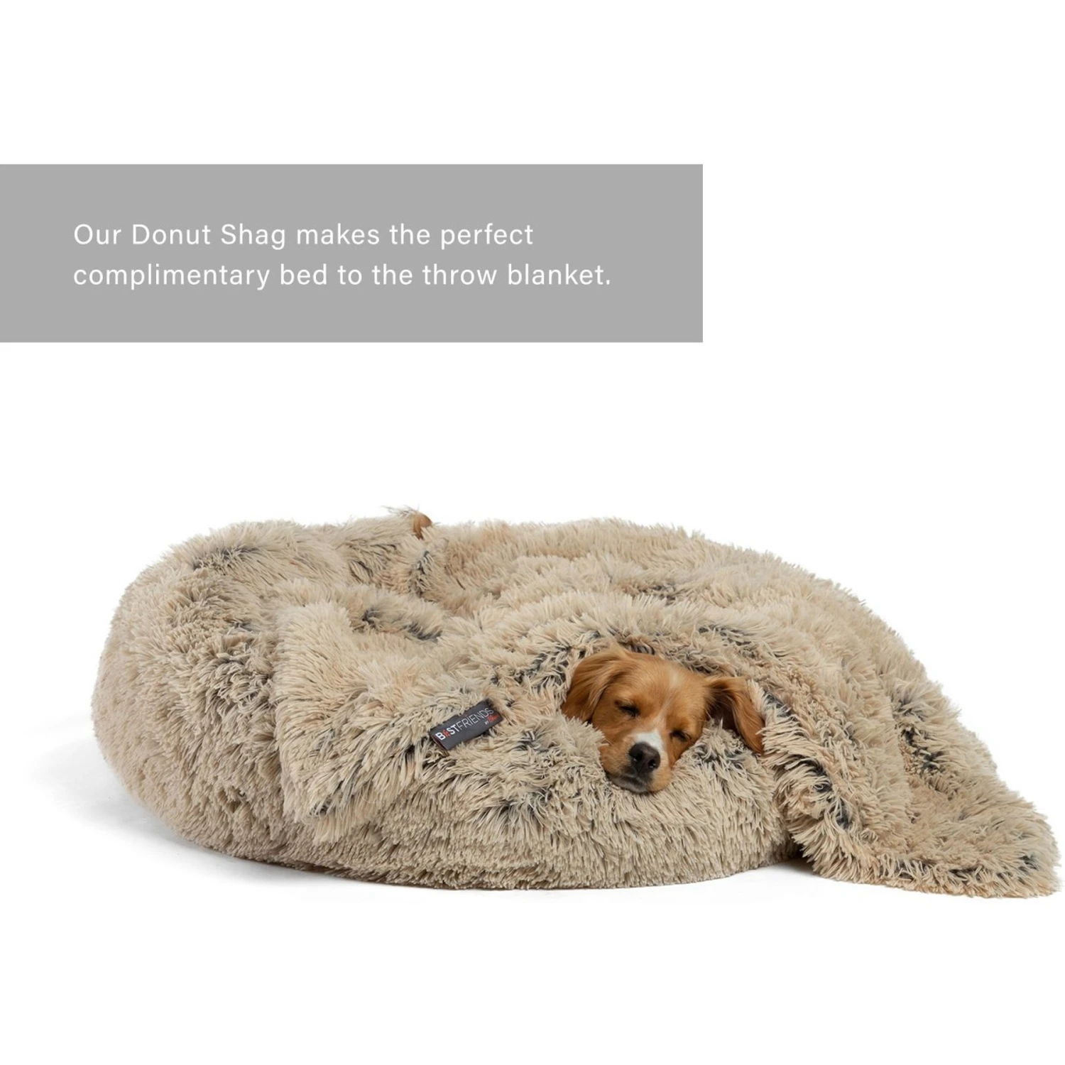 Best Friends By Sheri Throw Shag Dog & Cat Blanket 8 Best Friends By Sheri Throw Shag Dog & Cat Blanket - Image 6