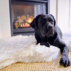 PawBrands PupRug Faux Fur Curve Orthopedic Pillow Dog Bed With Removable Cover, White 13 PawBrands PupRug Faux Fur Curve Orthopedic Pillow Dog Bed With Removable Cover, White -Blue Buffalos Shop 194376 PT3. AC SS1800 V1566829947