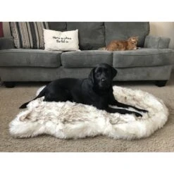 PawBrands PupRug Faux Fur Curve Orthopedic Pillow Dog Bed With Removable Cover, White 17 PawBrands PupRug Faux Fur Curve Orthopedic Pillow Dog Bed With Removable Cover, White -Blue Buffalos Shop 194376 PT7. AC SS1800 V1566830000