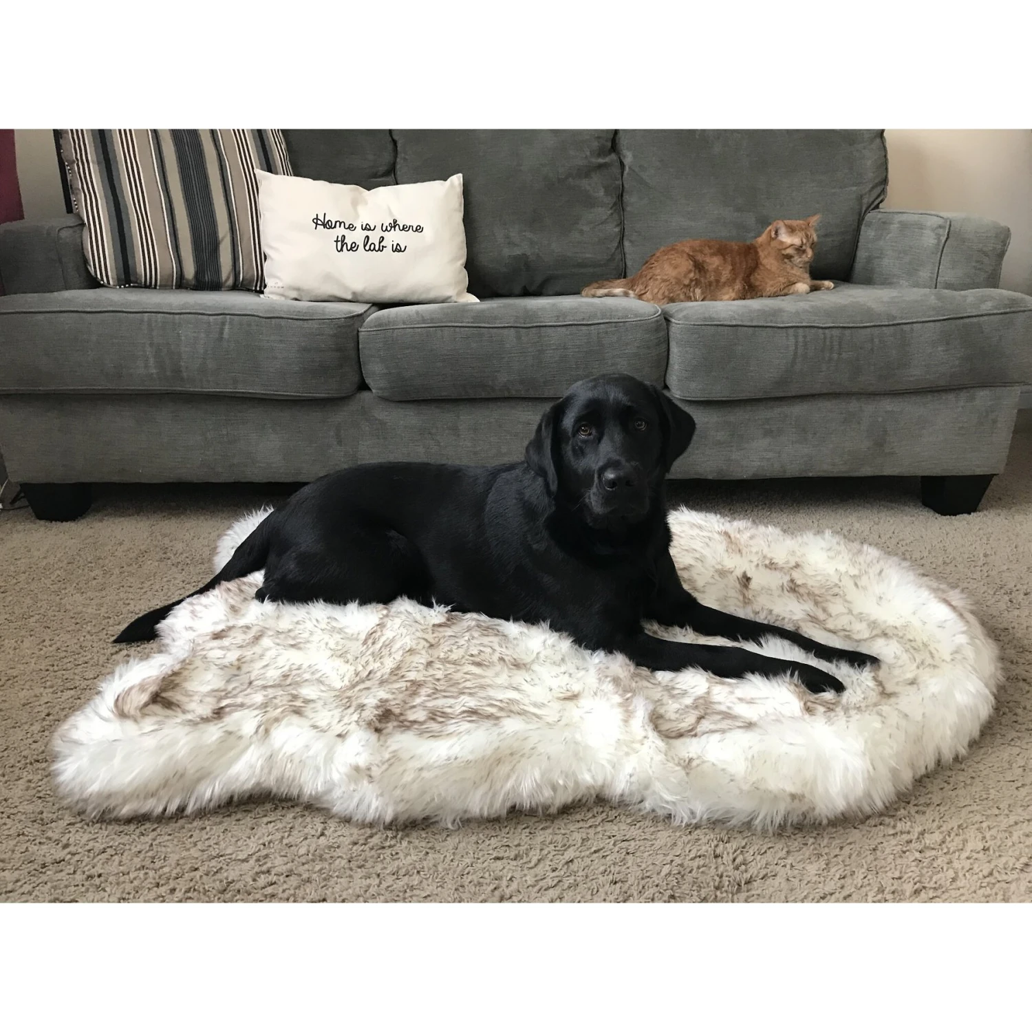 PawBrands PupRug Faux Fur Curve Orthopedic Pillow Dog Bed With Removable Cover, White 10 PawBrands PupRug Faux Fur Curve Orthopedic Pillow Dog Bed With Removable Cover, White - Image 8