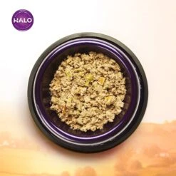 Halo Lamb Stew Adult Canned Dog Food -Blue Buffalos Shop 194484 PT3. AC SS1800 V1594840602