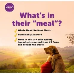 Halo Lamb Stew Adult Canned Dog Food -Blue Buffalos Shop 194484 PT4. AC SS1800 V1594849264