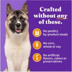 Halo Holistic Chicken Recipe Senior Canned Dog Food -Blue Buffalos Shop 194491 PT5. AC SS1800 V1695310200