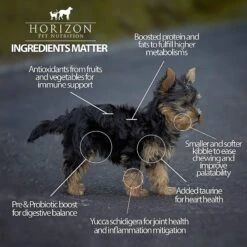 Horizon Amicus Small & Mini Breed Grain-Free Salmon Formula Dry Dog Food -Blue Buffalos Shop 194765 PT3. AC SS1800 V1607988456