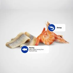 Farmina Natural & Delicious Ocean Herring & Shrimps Canned Dog Food 11 Farmina Natural & Delicious Ocean Herring & Shrimps Canned Dog Food -Blue Buffalos Shop 197029 PT5. AC SS1800 V1591128383