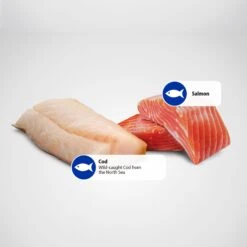 Farmina Natural & Delicious Ocean Salmon & Cod Canned Dog Food -Blue Buffalos Shop 197032 PT5. AC SS1800 V1679330225