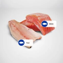 Farmina Natural & Delicious Ocean Trout & Salmon Canned Dog Food -Blue Buffalos Shop 197038 PT5. AC SS1800 V1591128656