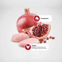 Farmina Natural & Delicious Prime Chicken & Pomegranate Canned Dog Food -Blue Buffalos Shop 197047 PT5. AC SS1800 V1591128677