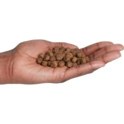 Country Vet Naturals 24/14 Healthy Diet Dry Dog Food -Blue Buffalos Shop 199175 PT2. AC SS1800 V1569429663