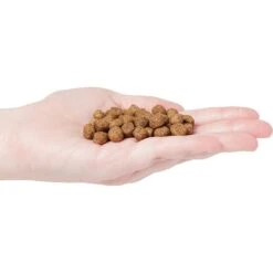 Country Vet Naturals 24-10 Senior Dog Food -Blue Buffalos Shop 199189 PT2. AC SS1800 V1569428933