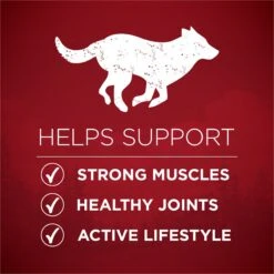 Purina ONE Natural High Protein True Instinct With Real Beef & Salmon Dry Dog Food -Blue Buffalos Shop 200861 PT2. AC SS1800 V1674850603