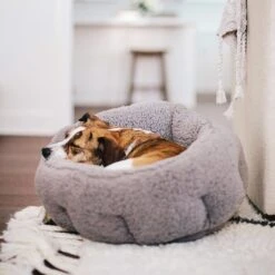 Best Friends By Sheri Sherpa Deep Dish Bolster Cat & Dog Bed W/Blanket & Plush Bone -Blue Buffalos Shop 201952 pt5. AC SS1800 V1569264198