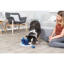 TRIXIE Flower Tower Activity Strategy Game Dog Toy 12 TRIXIE Flower Tower Activity Strategy Game Dog Toy -Blue Buffalos Shop 207403 PT2. AC SS1800 V1686338359