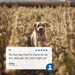 Farmina N&D Ancestral Grain Lamb & Blueberry Recipe Puppy Mini Dry Dog Food -Blue Buffalos Shop 207655 PT7. AC SS1800 V1678910005