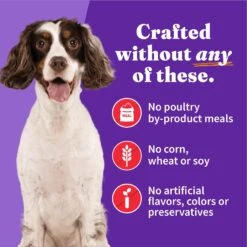 Halo Holistic Beef Recipe In Broth Adult Wet Dog Food -Blue Buffalos Shop 209769 PT4. AC SS1800 V1698766660