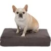 Pet Support Systems Gel Memory Foam Pillow Dog Bed -Blue Buffalos Shop 210153 MAIN. AC SS1800 V1577387880
