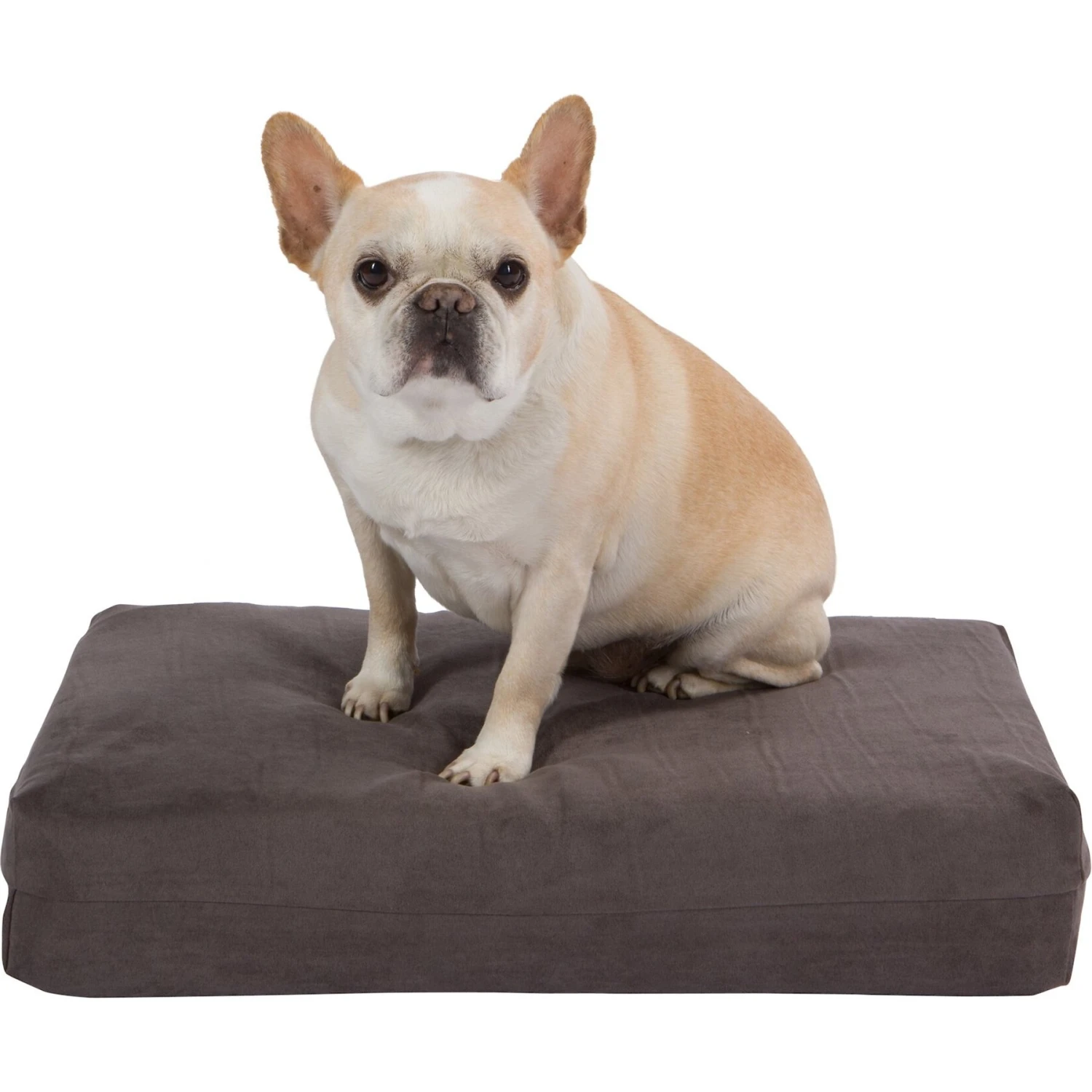 Pet Support Systems Gel Memory Foam Pillow Dog Bed 3 Pet Support Systems Gel Memory Foam Pillow Dog Bed