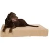 Pet Support Systems Lucky Dog Orthopedic Pillow Dog Bed -Blue Buffalos Shop 210210 MAIN. AC SS1800 V1577387908