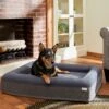 Frisco Orthopedic Rectangular Bolster Cat & Dog Bed W/Removable Cover -Blue Buffalos Shop 210226 MAIN. AC SS1800 V1590067652