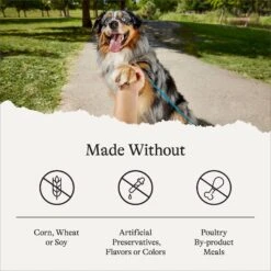 American Journey Protein & Grains Large Breed Puppy Chicken, Brown Rice & Vegetables Recipe Dry Dog Food, 28-lb Bag -Blue Buffalos Shop 214833 PT6. AC SS1800 V1680624916