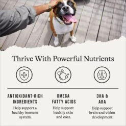 American Journey Protein & Grains Large Breed Puppy Salmon, Brown Rice & Vegetables Recipe Dry Dog Food, 28-lb Bag -Blue Buffalos Shop 214835 PT4. AC SS1800 V1668737233