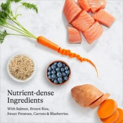 American Journey Protein & Grains Large Breed Puppy Salmon, Brown Rice & Vegetables Recipe Dry Dog Food, 28-lb Bag -Blue Buffalos Shop 214835 PT5. AC SS1800 V1680632564