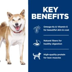 Hill's Science Diet Adult 1-6 Chicken & Brown Rice Recipe Dry Dog Food -Blue Buffalos Shop 215347 PT4. AC SS1800 V1602627092