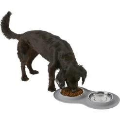 Frisco Double Stainless Steel Pet Bowl With Silicone Mat -Blue Buffalos Shop 215986 PT5. AC SS1800 V1605652436