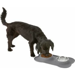 Frisco Silicone Stainless Steel Double Diner Dog & Cat Bowl -Blue Buffalos Shop 215990 PT5. AC SS1800 V1605662218