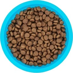 Frisco Plastic Suction Bowl, Blue -Blue Buffalos Shop 216037 PT4. AC SS1800 V1591020655