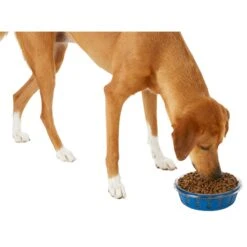 Frisco Chevron Design Glass Bowl With Silicone Sleeve 13 Frisco Chevron Design Glass Bowl With Silicone Sleeve -Blue Buffalos Shop 216049 PT6. AC SS1800 V1605654757