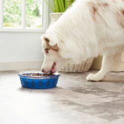 Frisco Chevron Design Glass Bowl With Silicone Sleeve 14 Frisco Chevron Design Glass Bowl With Silicone Sleeve -Blue Buffalos Shop 216049 PT7. AC SS1800 V1605664319