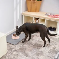 Frisco Southwest Melamine Bowl 15 Frisco Southwest Melamine Bowl -Blue Buffalos Shop 216064 PT7. AC SS1800 V1605653262