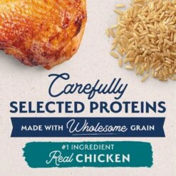 Natural Balance Limited Ingredient Chicken & Brown Rice Puppy Recipe Dry Dog Food -Blue Buffalos Shop 216662 PT3. AC SS1800 V1652125030