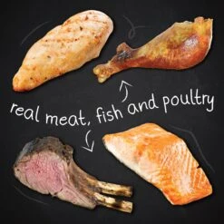 Hound & Gatos Grain-Free Cage Free Chicken Recipe Dry Dog Food 13 Hound & Gatos Grain-Free Cage Free Chicken Recipe Dry Dog Food -Blue Buffalos Shop 217783 PT3. AC SS1800 V1588770717