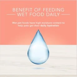 Blue Buffalo True Solutions Healthy Weight Natural Weight Control Chicken Adult Wet Dog Food -Blue Buffalos Shop 218278 PT6. AC SS1800 V1676653189