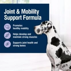Blue Buffalo True Solutions Jolly Joints Mobility Support Formula Dry Dog Food -Blue Buffalos Shop 218309 PT2. AC SS1800 V1696451640