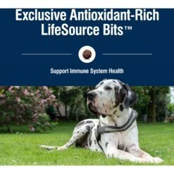 Blue Buffalo True Solutions Jolly Joints Mobility Support Formula Dry Dog Food -Blue Buffalos Shop 218309 PT6. AC SS1800 V1696449988