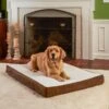 Happy Hounds Otis Orthopedic Pillow Dog Bed With Removable Cover