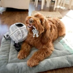 STAR WARS DEATH STAR Hide & Seek Puzzle Plush Squeaky Dog Toy 9 STAR WARS DEATH STAR Hide & Seek Puzzle Plush Squeaky Dog Toy -Blue Buffalos Shop 220665 PT3. AC SS1800 V1682541054