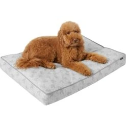 Disney Mickey Mouse Pillow Cat & Dog Bed 8 Disney Mickey Mouse Pillow Cat & Dog Bed -Blue Buffalos Shop 222213 PT2. AC SS1800 V1611758239